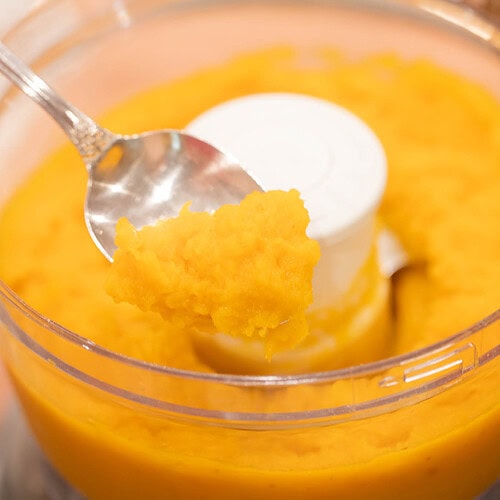 Close-up of thick and smooth homemade pumpkin puree in a food processor