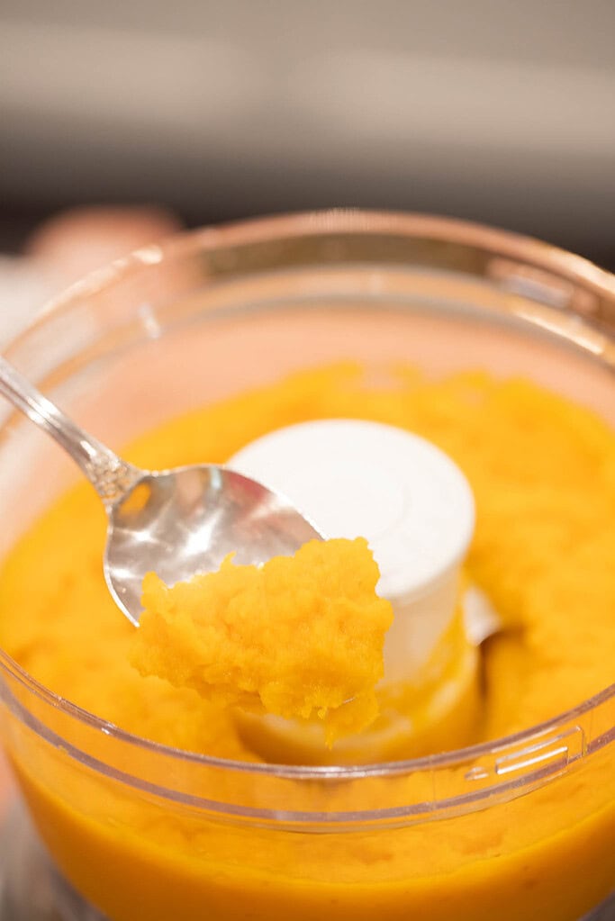 Close-up of thick and smooth homemade pumpkin puree in a food processor