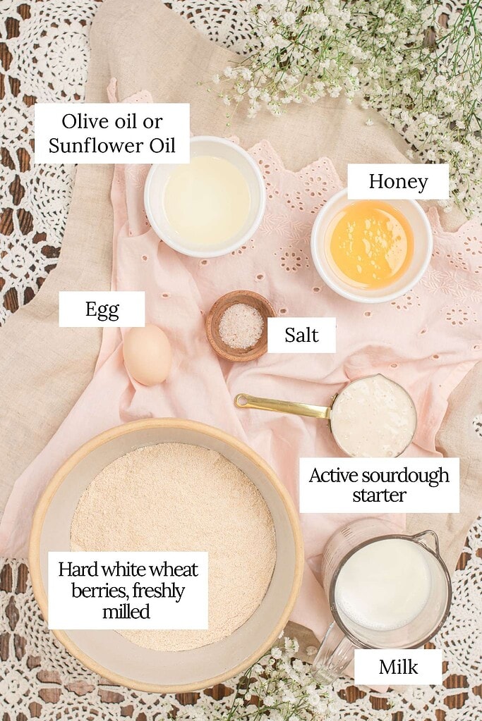 Labeled overhead ingredient flat lay for fresh milled sourdough sandwich bread showing hard white wheat berries freshly milled in a large ceramic bowl, active sourdough starter, olive oil or sunflower oil, honey, egg, salt, and milk in white bowls and a glass pitcher on a pink eyelet linen with crochet lace and white baby's breath.
