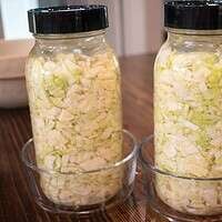 Two half gallon mason jars in 4 cup clear pyrex bowls full of cabbage, brine, salt and some whey with fermenting lids and weights to make homemade sauerkraut.
