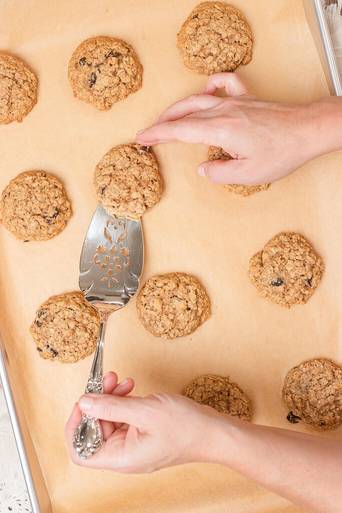 Two hands removing freshly baked sourdough einkorn oatmeal raisin cookies from a parchment-lined baking sheet using a decorative silver spatula, with a full batch of golden cookies visible on the pan.