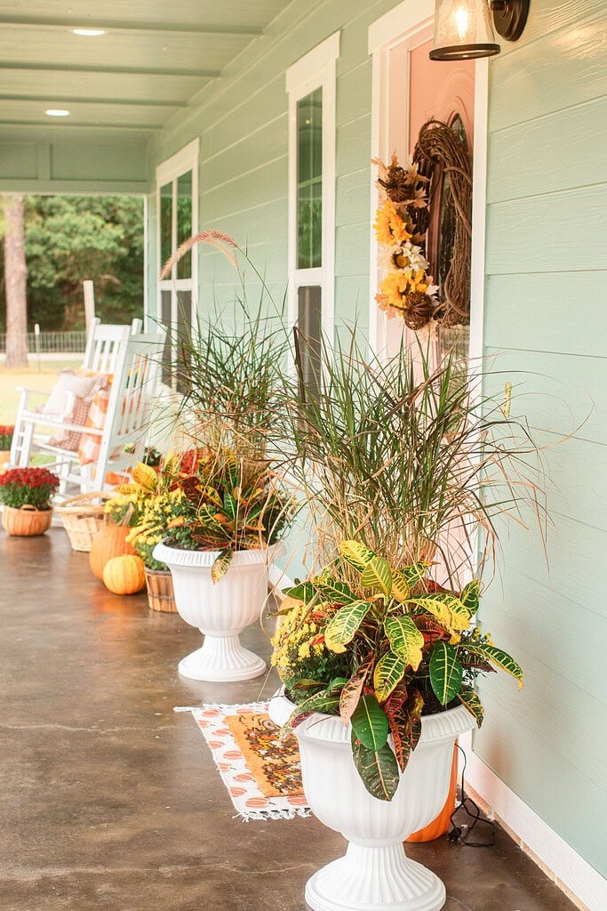 A long sage green cottage porch decorated for fall with white urn planters filled with ornamental grass and croton, the pink front door with a sunflower grapevine wreath visible at the far end, and white rocking chairs with fall pillows in the background.