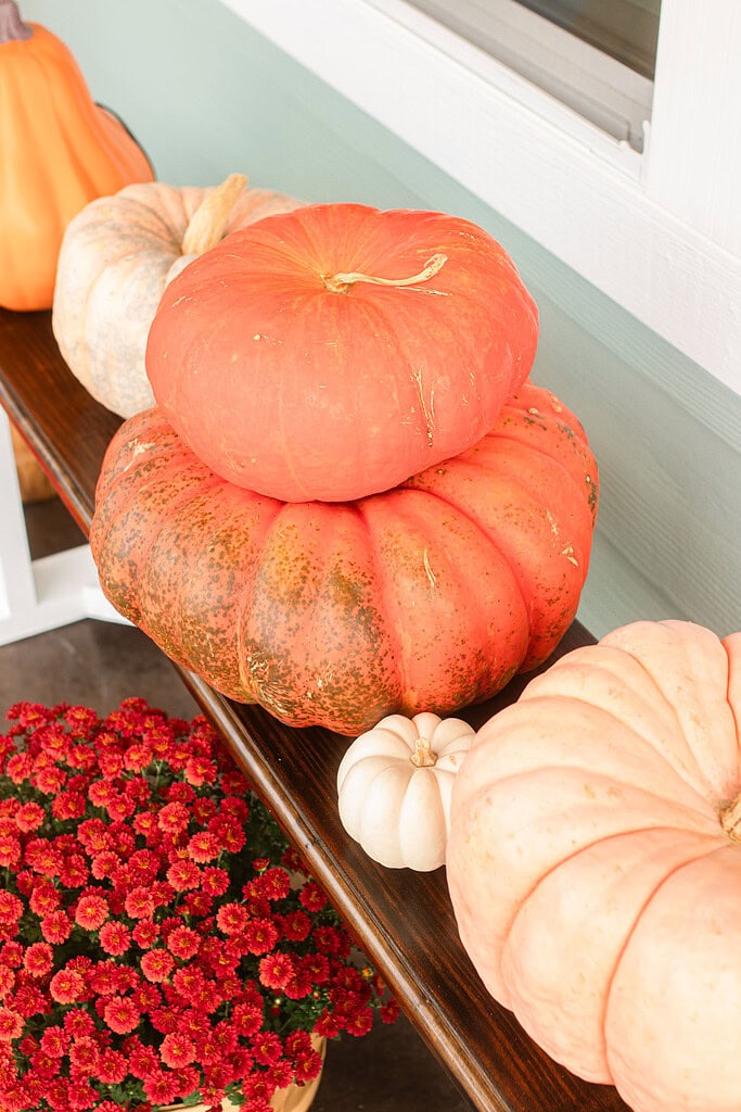 A cottage porch bench styled with a stacked collection of heirloom pumpkins including a salmon-toned Cinderella pumpkin, a large speckled green and orange pumpkin, a white mini pumpkin, and a pale blush elongated gourd, with red mums in the foreground.