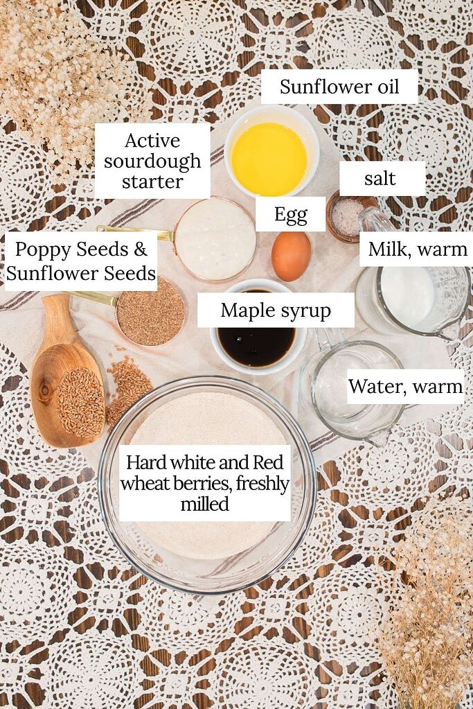 Labeled overhead ingredient flat lay for multigrain seeded sourdough sandwich bread showing freshly milled hard white and red wheat berries, active sourdough starter, sunflower oil, egg, poppy seeds and sunflower seeds, maple syrup, salt, warm milk, and warm water in bowls and measuring cups on a white striped linen with crochet lace and dried baby's breath.