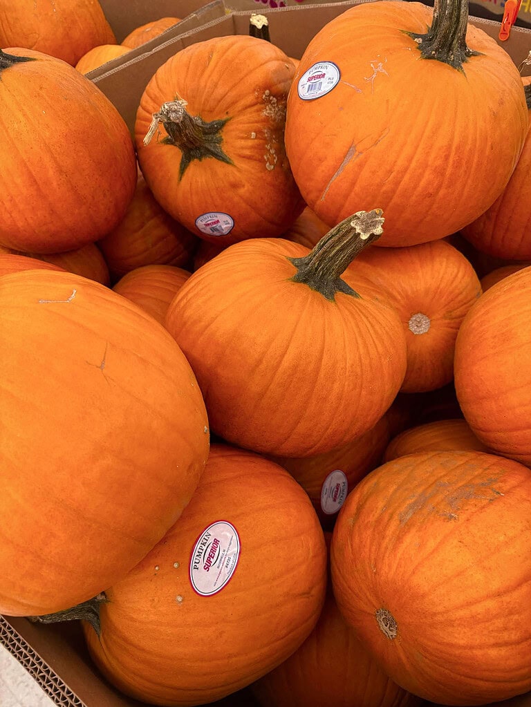 A bin of large orange pumpkins with sticker labels piled together at a market, capturing the feel of autumn pumpkin picking.A bin of large orange pumpkins with sticker labels piled together at a market, capturing the feel of autumn pumpkin picking.
