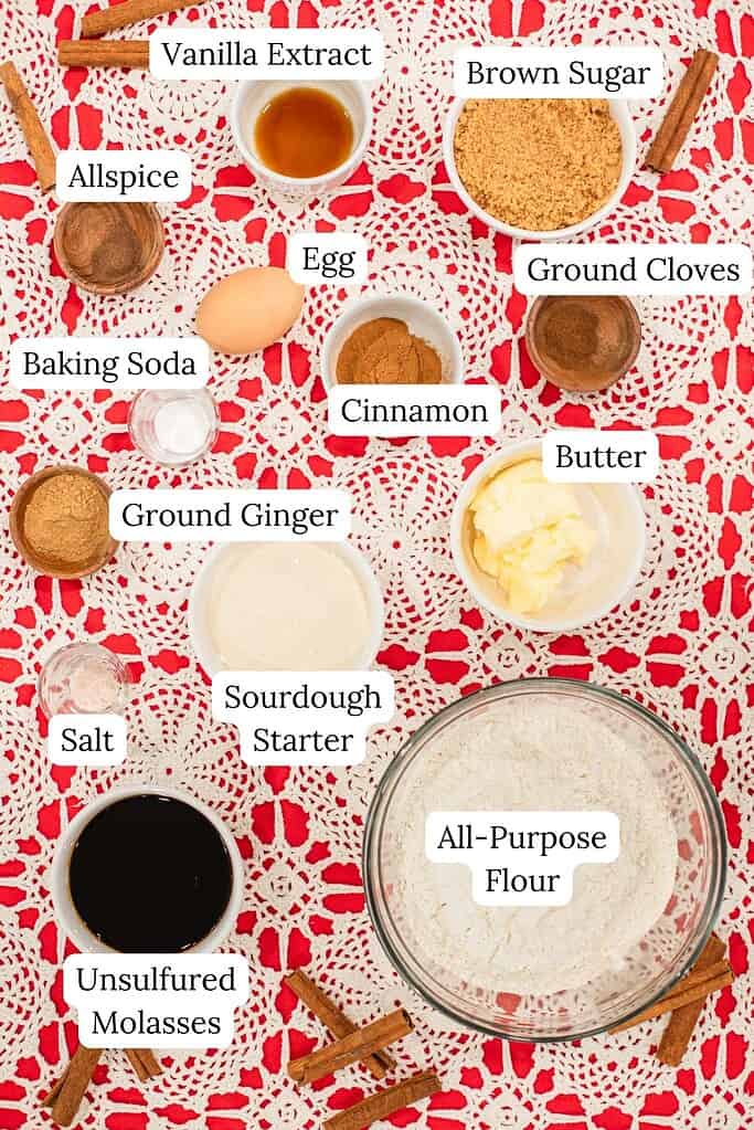 Overhead view of sourdough gingerbread cookie ingredients arranged on a red and white lace background, each labeled, including flour, sourdough starter, molasses, brown sugar, spices, butter, egg, and baking soda.