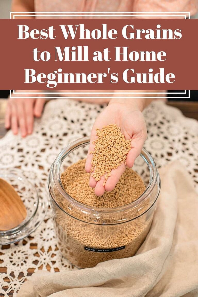Hands holding hard white wheat berries above a glass jar of whole grains, with text overlay reading “Best Whole Grains to Mill at Home Beginner’s Guide” in a cozy cottage kitchen setting.