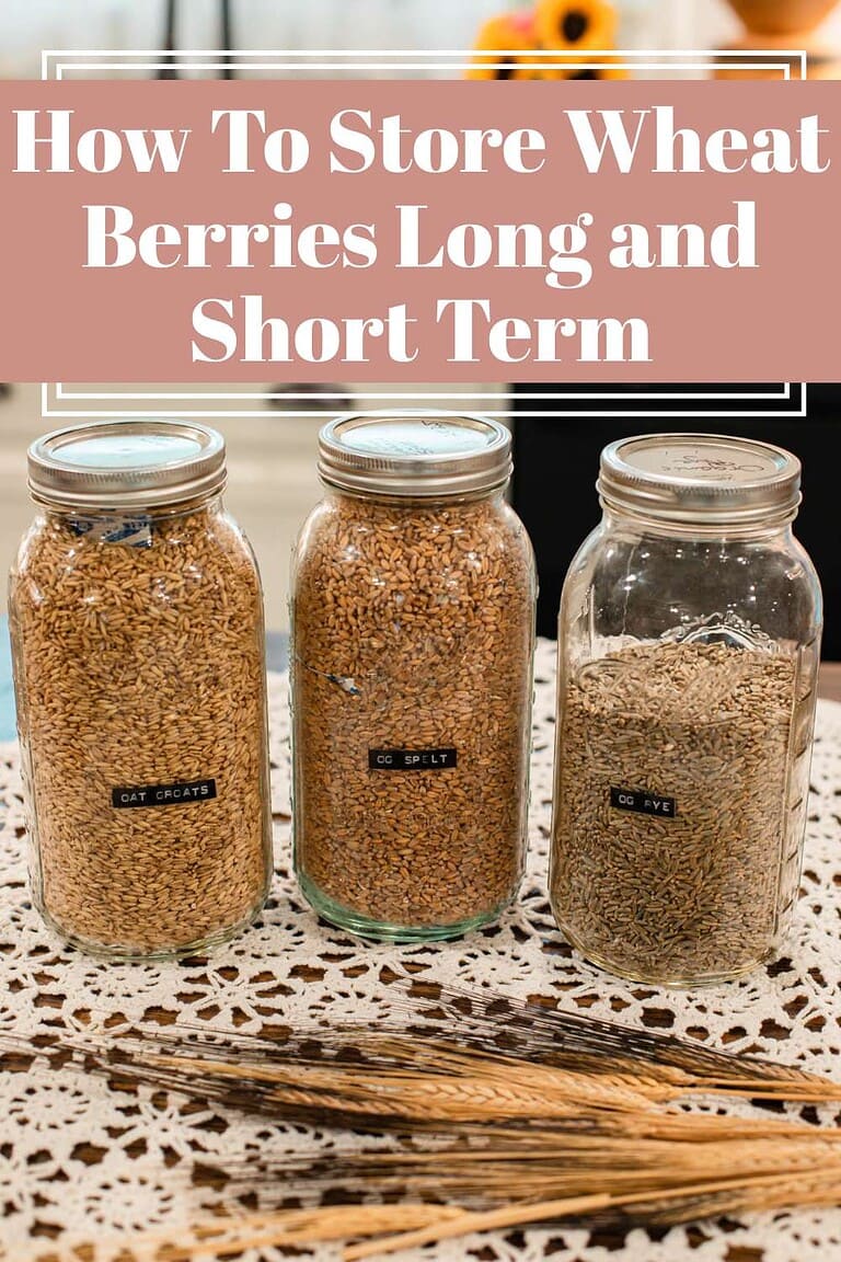 Oat groats, spelt, and rye stored in labeled glass jars on cottage table, design with text about how to store wheat berries long and short term