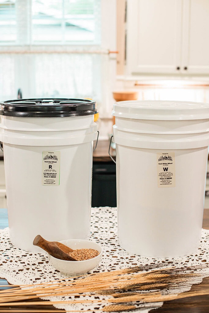 Large buckets of hard red and hard white wheat with lids on cottage table for bulk long term grain storage