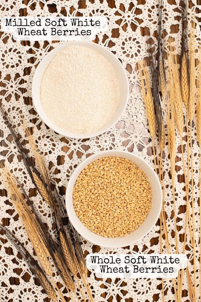 Two white bowls on a lace surface showing whole soft white wheat berries and finely milled soft white wheat flour, labeled for comparison with wheat stalks surrounding them.