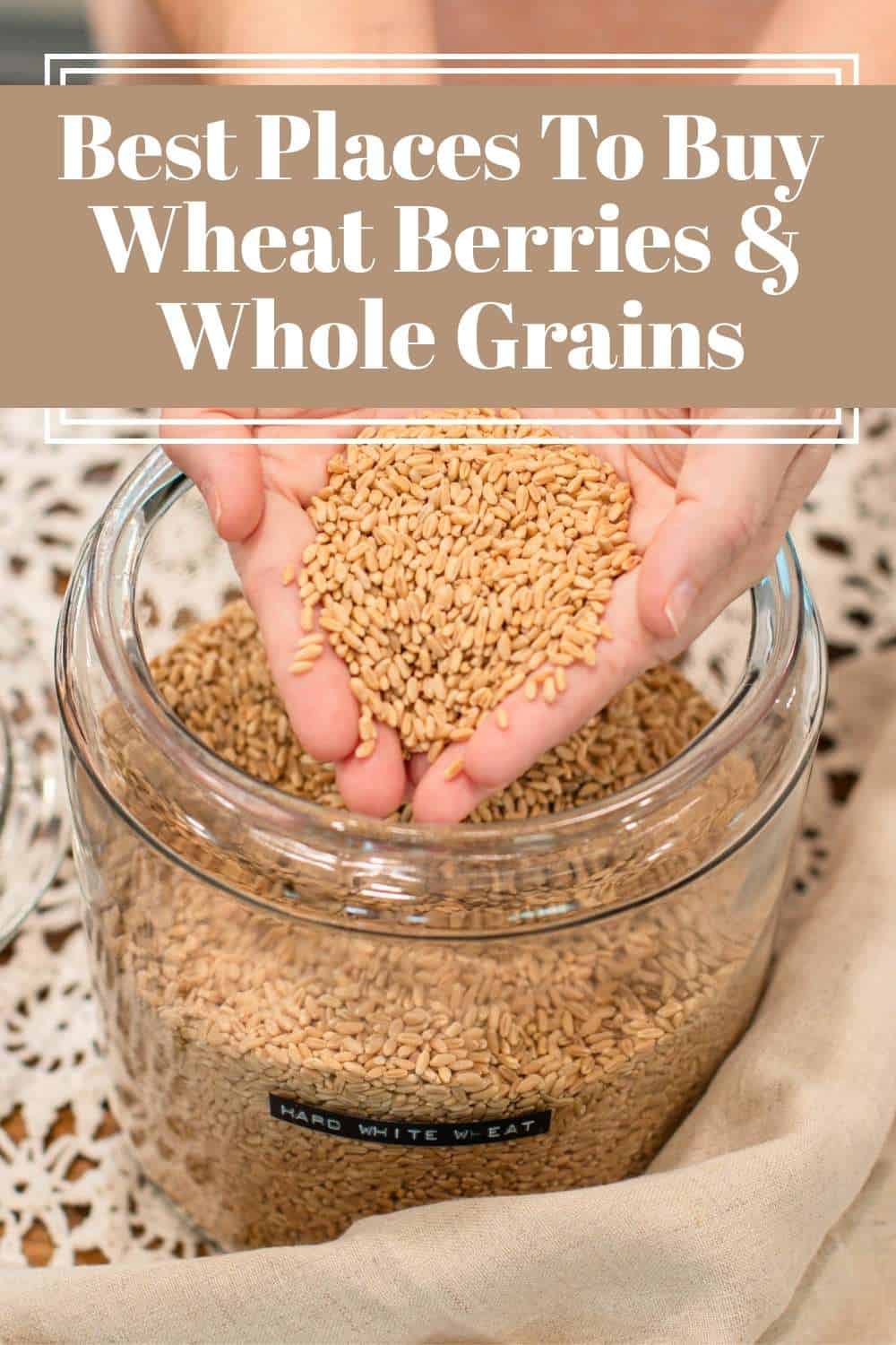 Hands holding wheat berries over a glass jar labeled hard white wheat, with text overlay about best places to buy wheat berries and whole grains.
