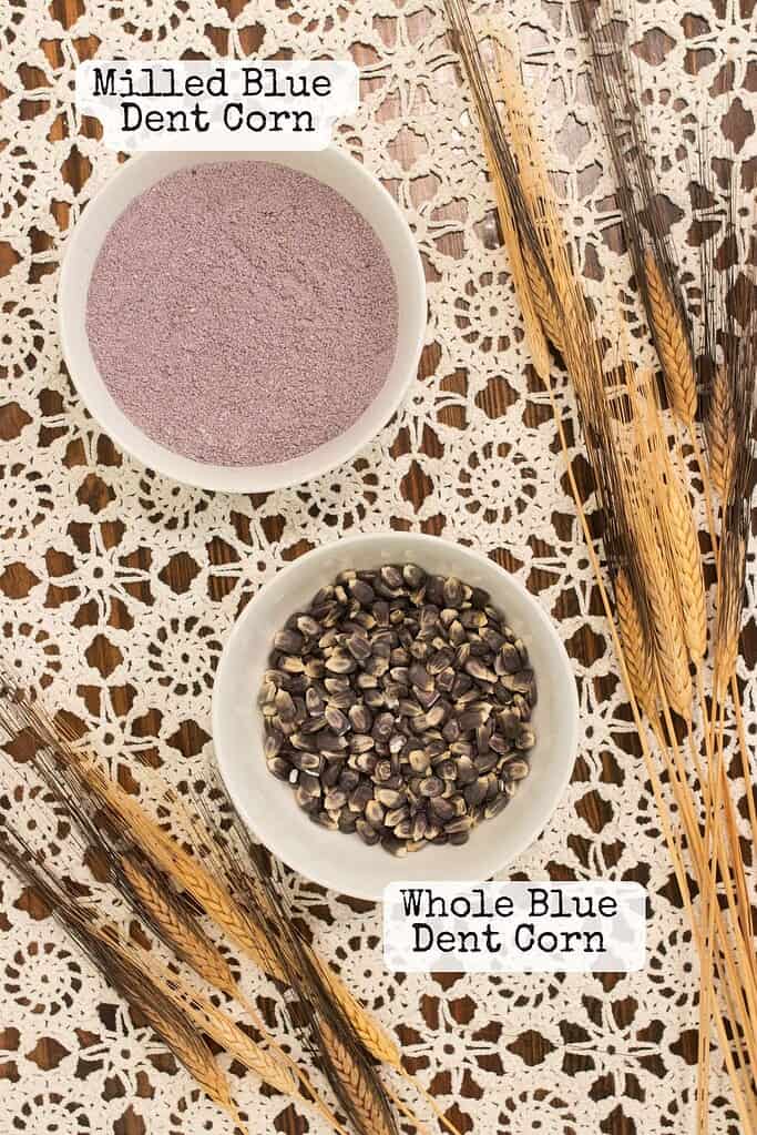 Bowl of freshly milled blue dent cornmeal beside whole blue dent corn kernels, styled with wheat stalks on a lace tablecloth.