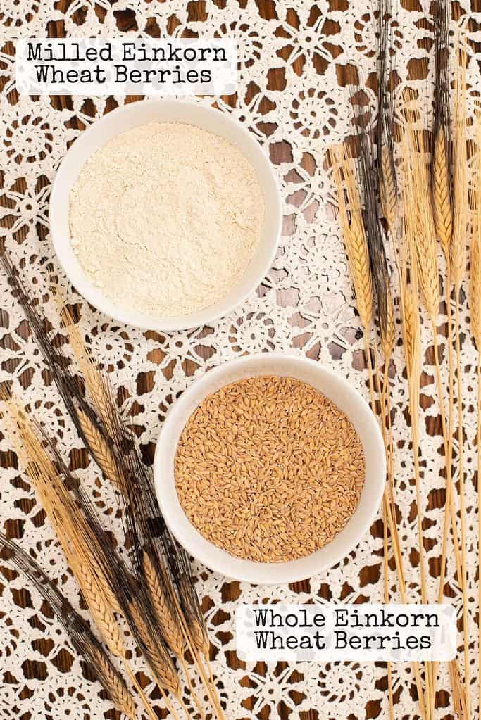 Comparison of milled einkorn wheat flour and whole einkorn wheat berries in white bowls, placed on a lace tablecloth with wheat stalks for a rustic display.