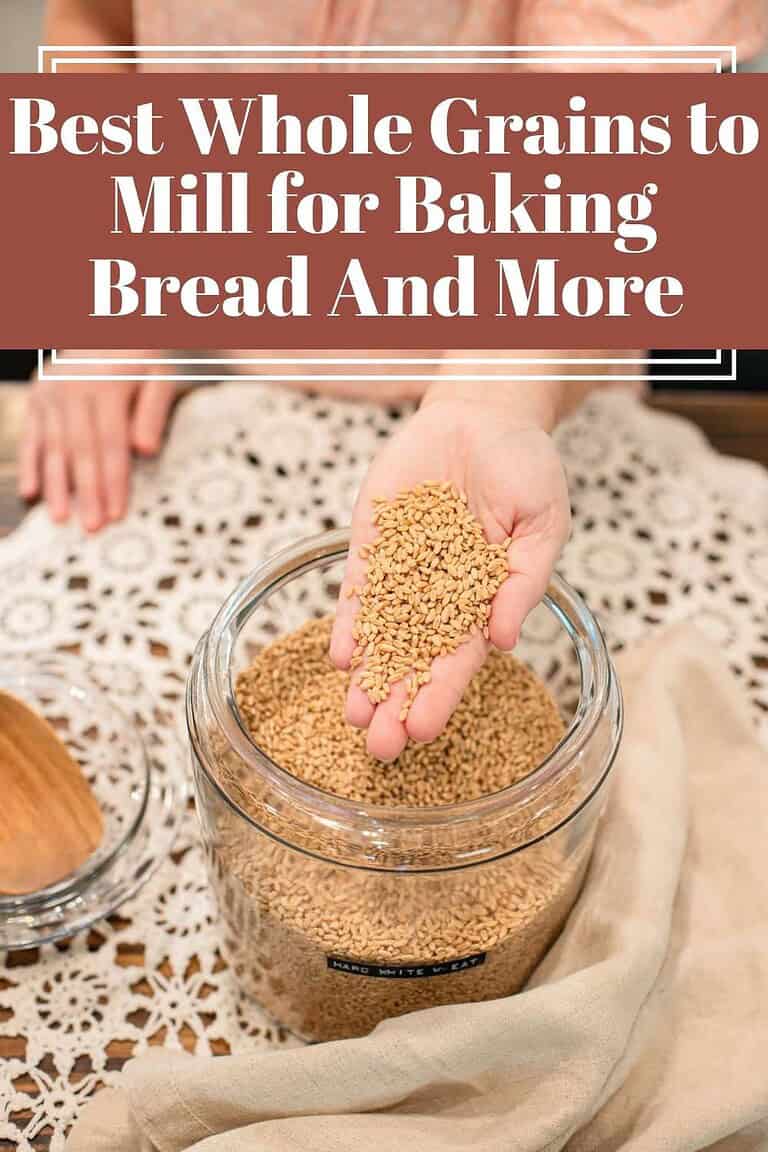 Hands scooping wheat berries from a glass storage jar.