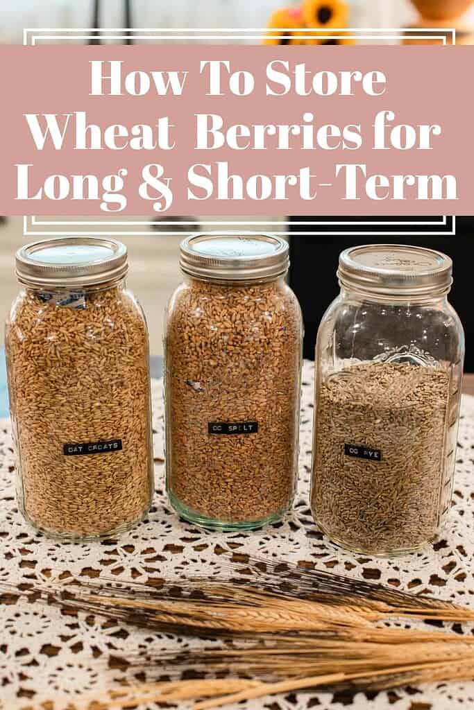 Three jars filled with oat groats, spelt, and rye.
