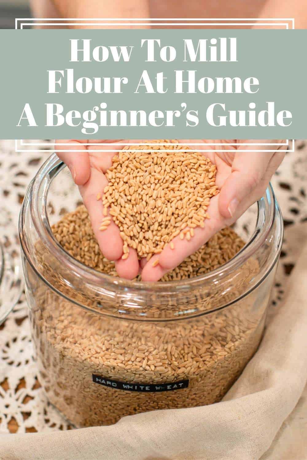 Hands holding golden wheat berries above a glass jar labeled hard white wheat.