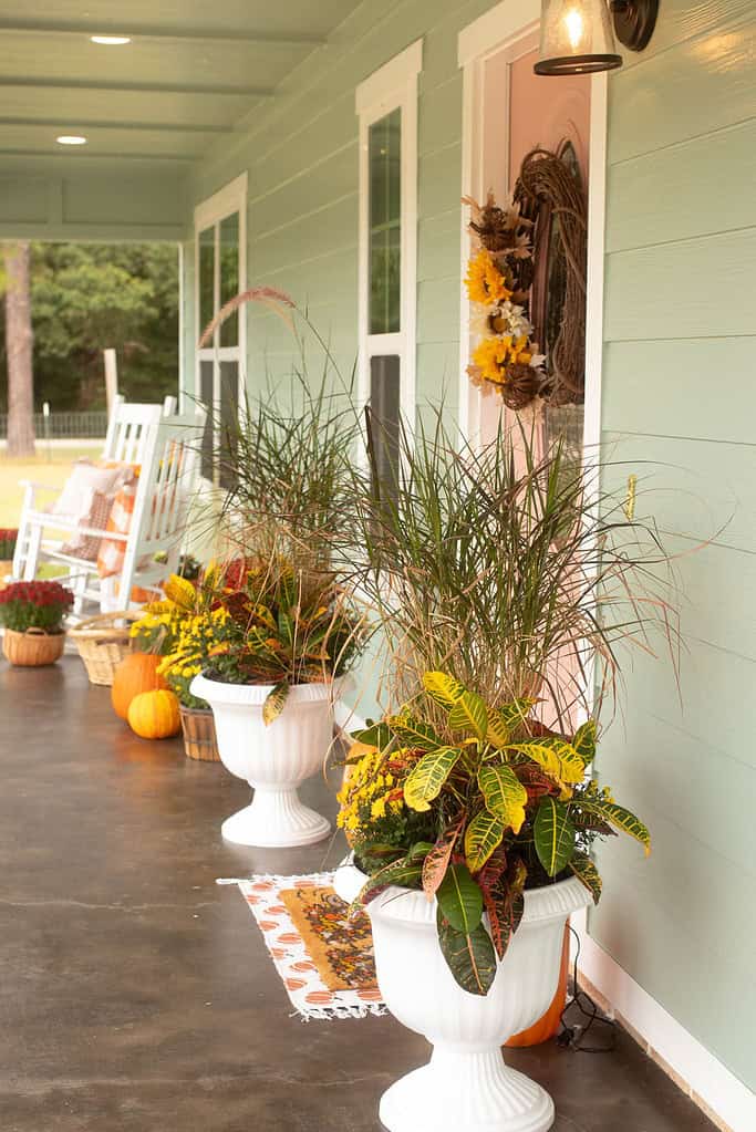 Inviting fall cottage porch decorated with white urn planters filled with autumn grasses, yellow flowers, pumpkins, and mums.