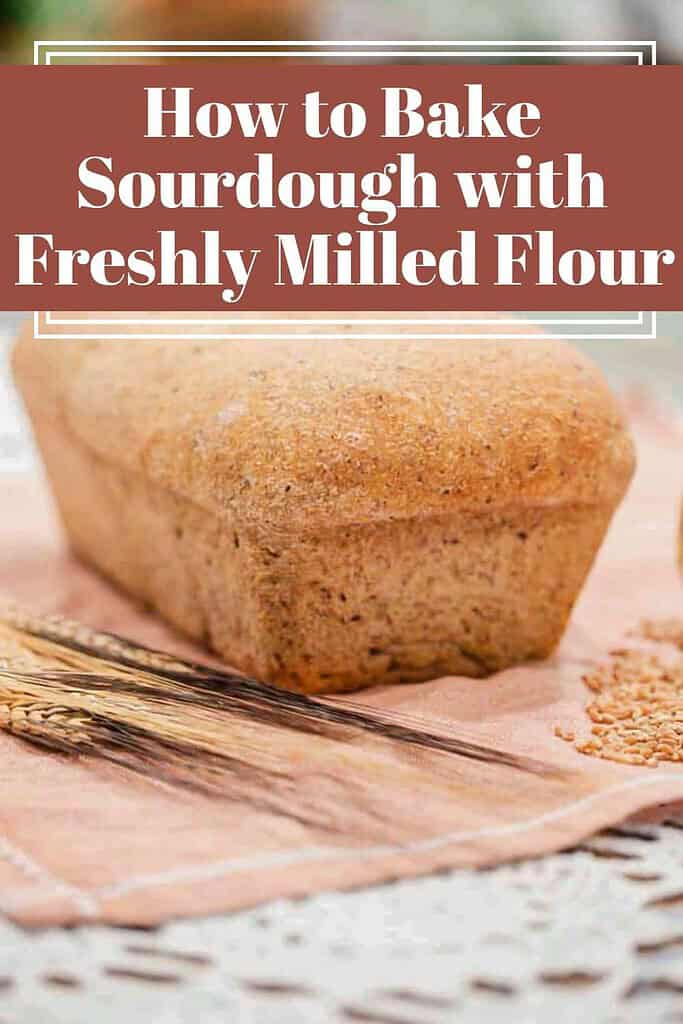 Golden loaf of homemade sourdough bread baked with freshly milled flour, resting on a soft linen cloth beside dried wheat stalks in a cozy cottage kitchen.