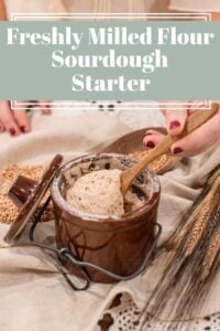 Freshly Milled Flour Sourdough Starter | Day-by-Day Guide