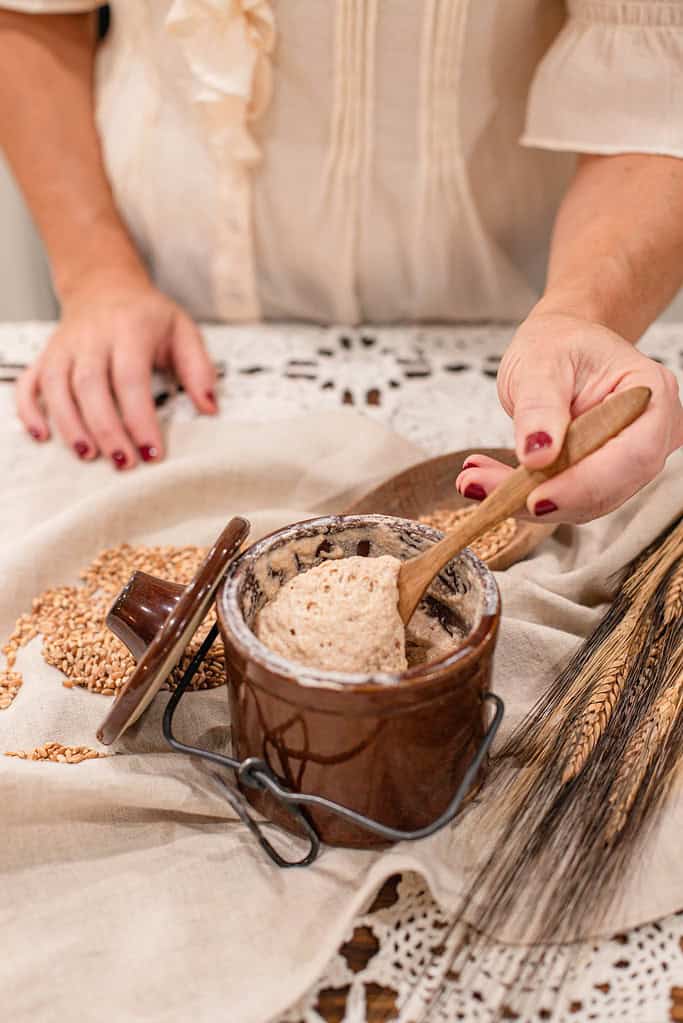 Woman stirring bubbly sourdough starter in a brown crock with a wooden spoon, surrounded by wheat berries and stalks.