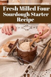 How to Make A Freshly Milled Flour Sourdough Starter