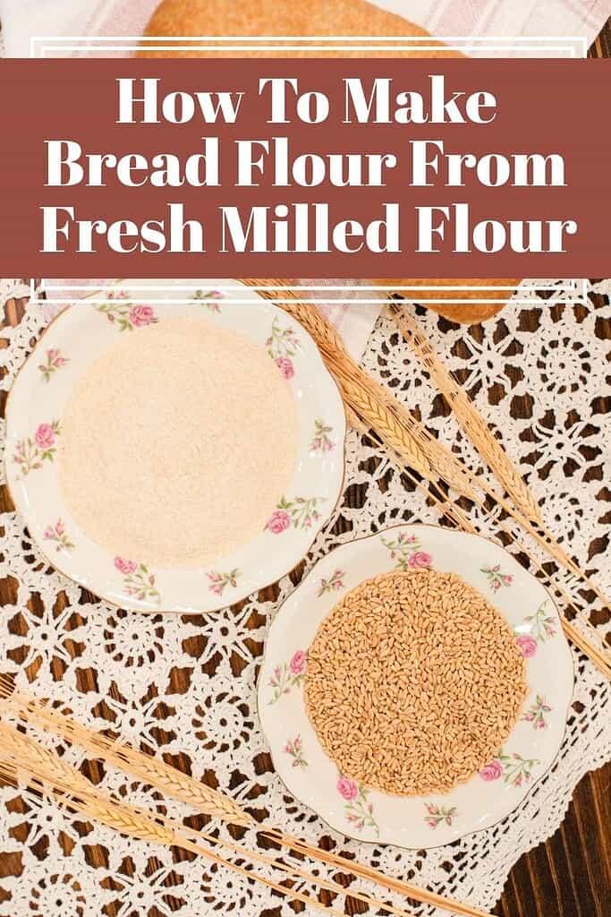 Two floral plates filled with wheat berries and freshly milled flour on a lace tablecloth with wheat stalks, showing the process of making bread flour from freshly milled grains.