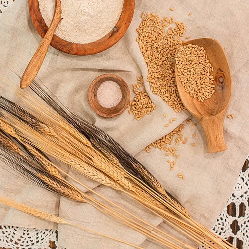 A rustic wooden bowl filled with freshly milled flour, surrounded by golden wheat kernels, stalks of wheat, a wooden scoop, and small bowls of salt and baking powder on a linen cloth.