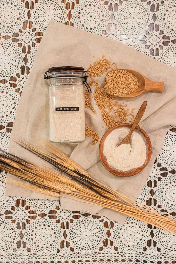 Rustic flat lay of a jar labeled Hard Red Wheat, wooden scoop of wheat berries, wooden bowl of flour with a spoon, and dried wheat stalks arranged on linen over vintage lace — representing both the beauty and practicality of storing freshly milled flour.
