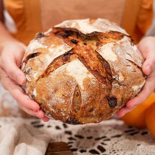 A woman in a warm-toned apron holding a rustic loaf of sourdough cranberry orange bread with a beautifully scored crust.