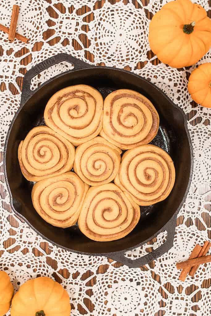 Unbaked sourdough pumpkin cinnamon rolls arranged in a cast-iron skillet on a lace tablecloth with small pumpkins and cinnamon sticks.