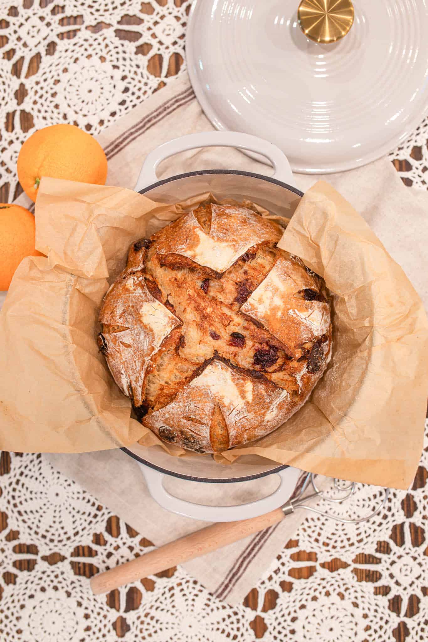 Freshly baked sourdough cranberry orange bread cooling in a Dutch oven with golden brown crust and deep X-shaped scoring.