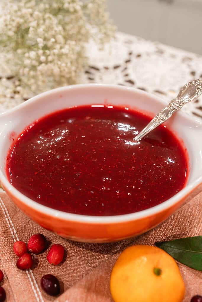 A close-up view of the finished cranberry orange sauce in a serving bowl, highlighting its rich color and smooth consistency.