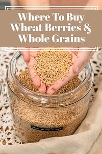 Hands pouring hard white wheat berries into a glass storage jar, showing whole grains and where to buy wheat berries for home milling.
