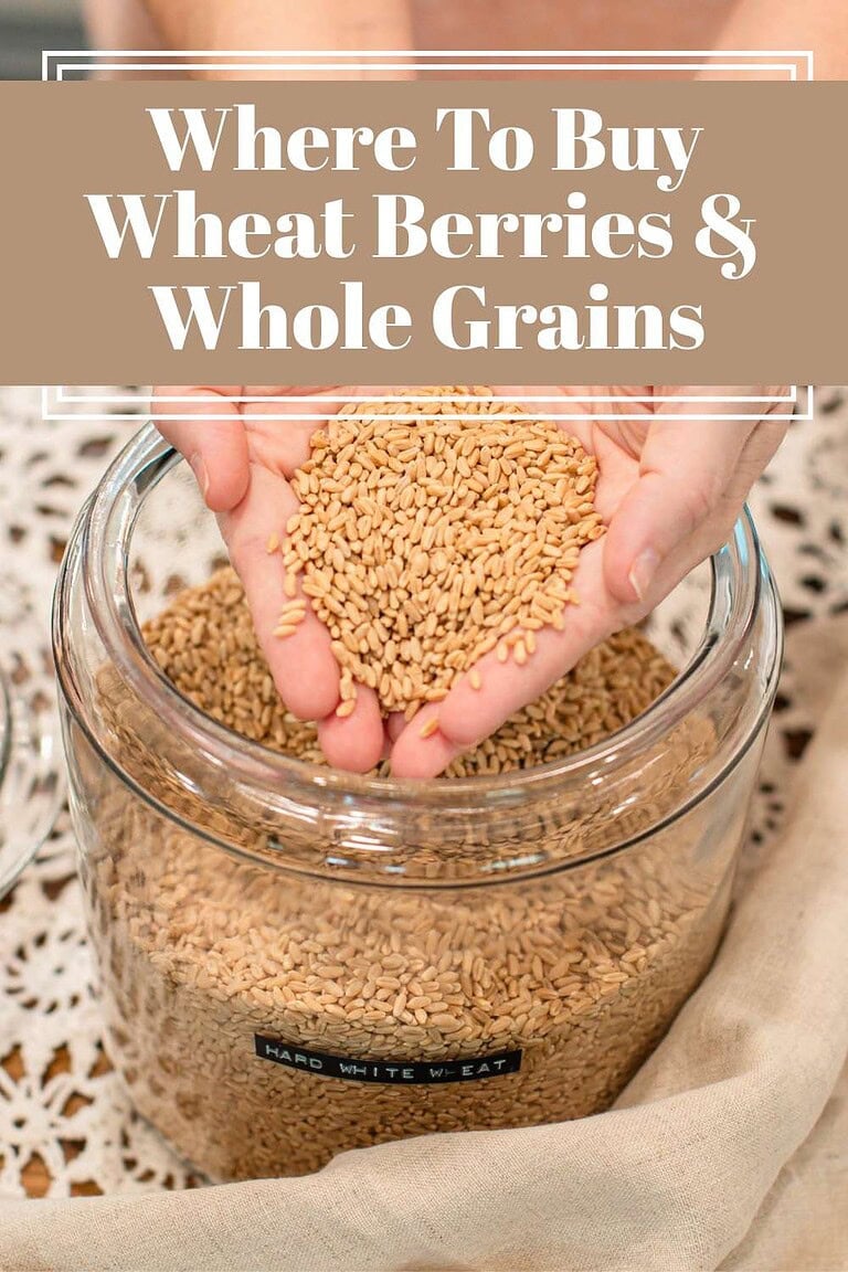 Hands holding wheat berries above a glass jar labeled hard white wheat with text reading “Where to Buy Wheat Berries & Whole Grains”