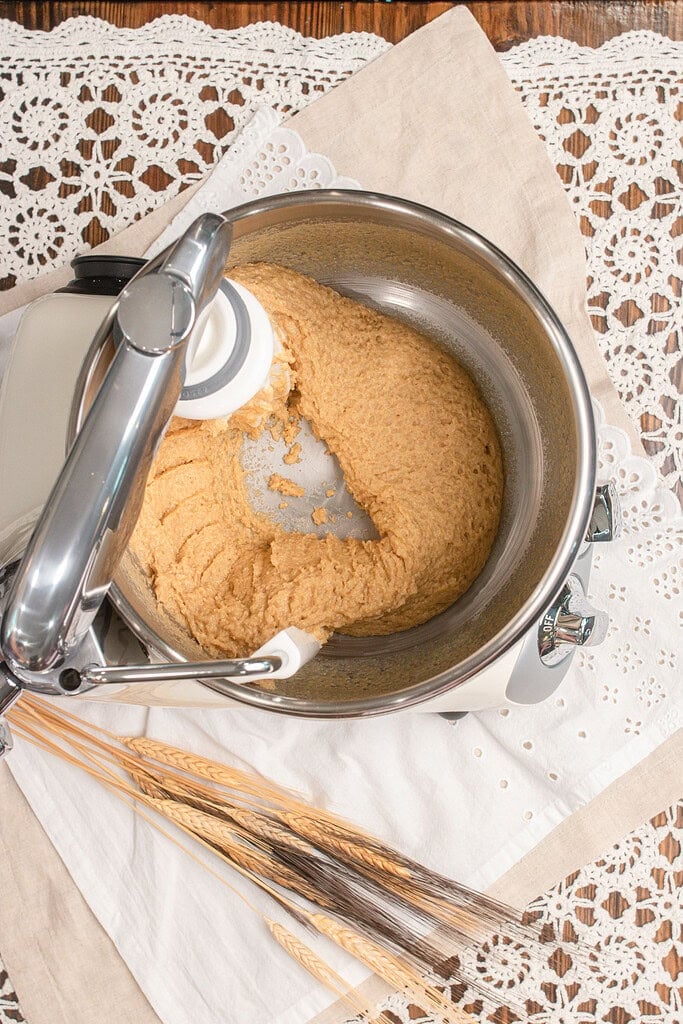 Freshly milled flour hot dog bun dough mixed together in a stand mixer bowl showing a thick shaggy texture