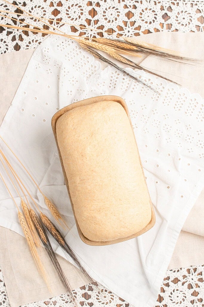 Proofed Fresh Milled Flour Sandwich Bread dough risen to the top of the loaf pan, resting on a white eyelet linen with dried wheat stalks nearby