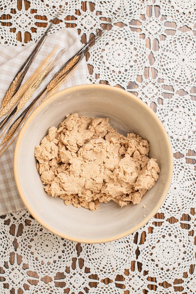 Shaggy, just-mixed tortilla dough made with freshly milled flour sitting in a bowl before kneading